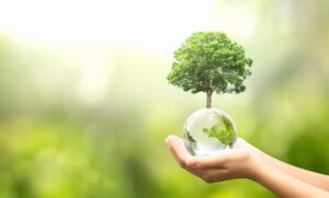 greenpath about us